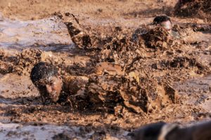 Camouflagetrui voor mannen