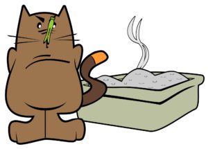 Mat voor naast de kattenbak
