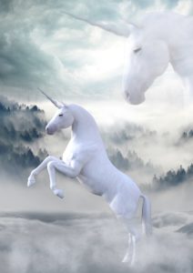 unicorn onesie