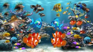 Aquariumverlichting