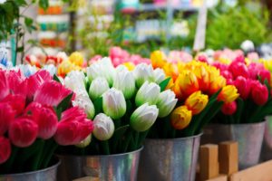 Gekleurde kunstbloemen