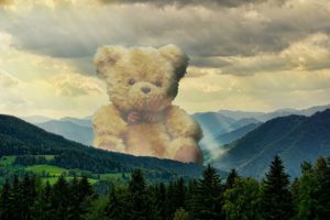 Enorme knuffelbeer
