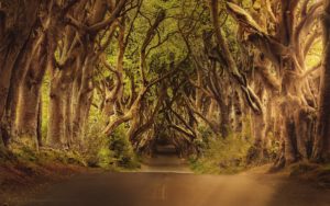 Game of thrones jurk