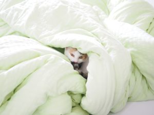 dekbed