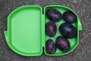 Plastic bakjes