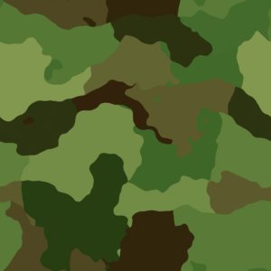 lens camouflage
