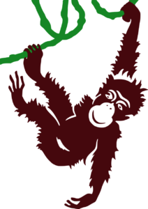 Jungle feestje