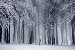 Sneeuwwitje