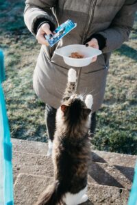 Eet bakje