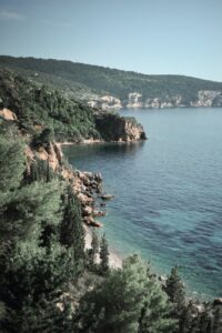 vis vinder