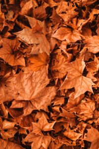 Herfstmode