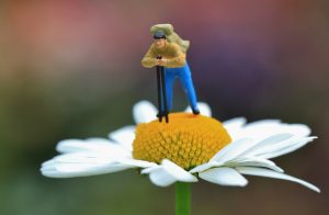 miniatuur poppetjes