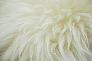 Fleece legging