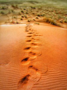 foot prints on desert during daytime