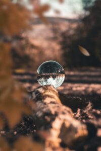 glass ball on wood